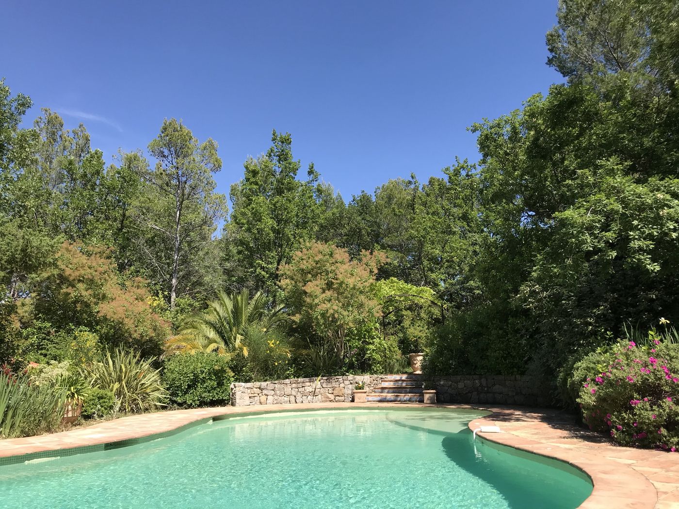 A garden pool in Provence