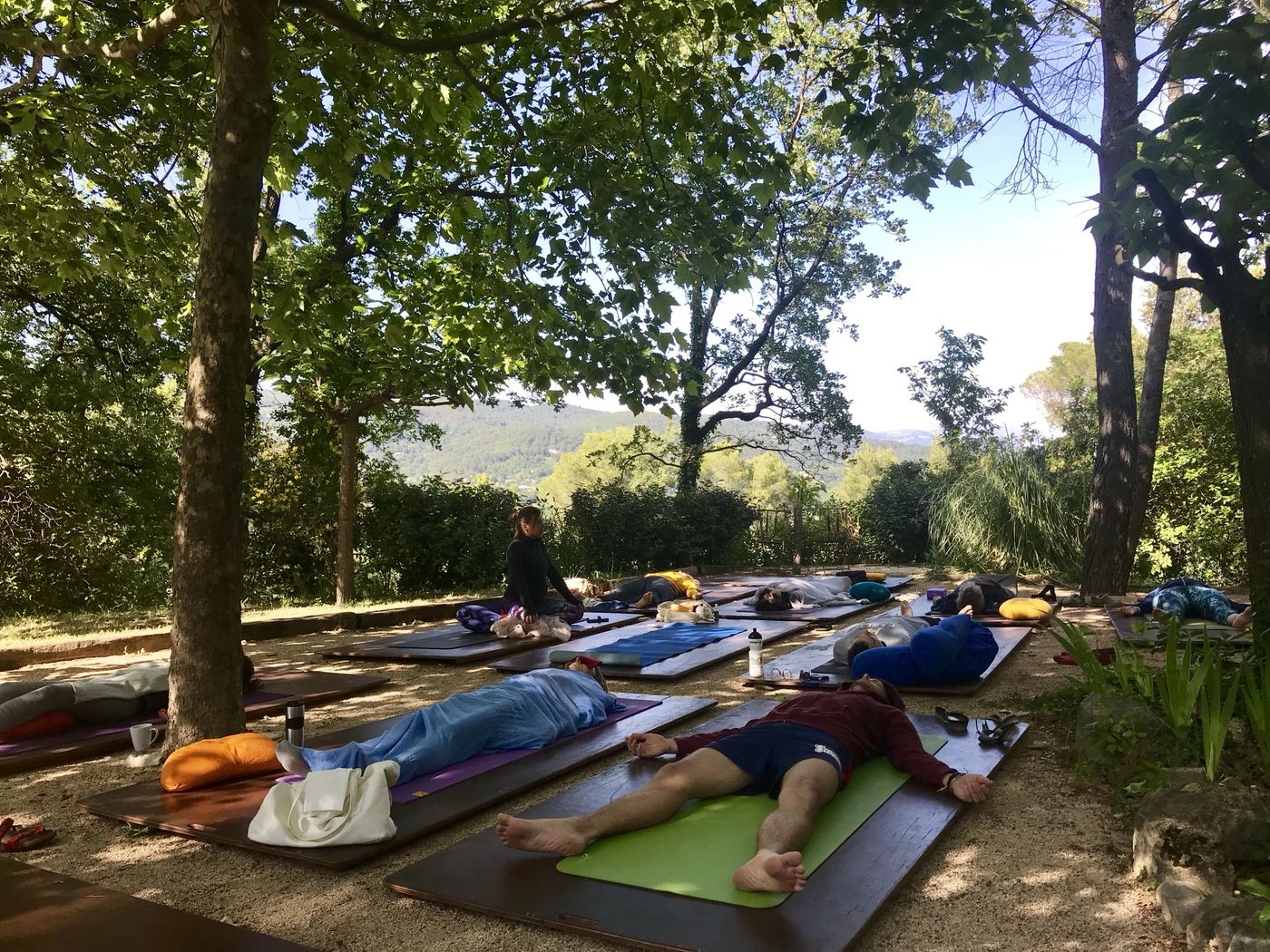 Relaxation under the trees, Provence